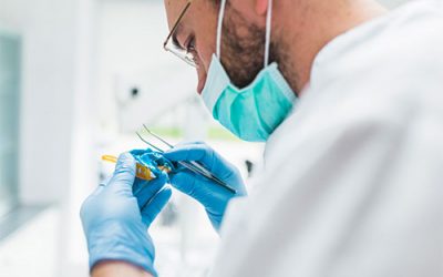 ¿Cuántos tipos de prótesis dentales existen?